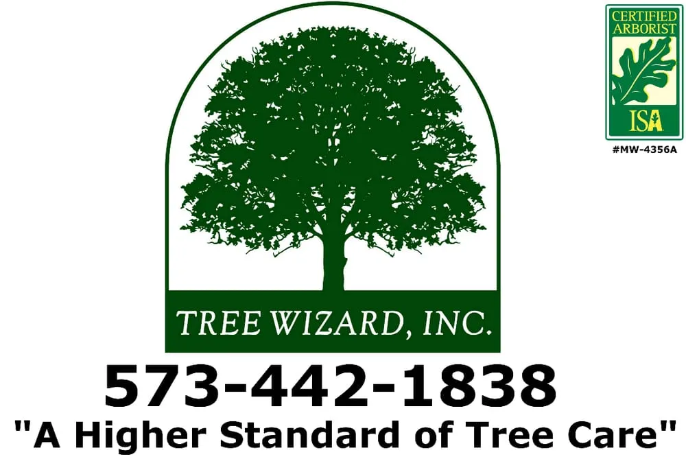 Top-rated outdoor landscaping with custom design in Columbia, MO by Tree Wizard