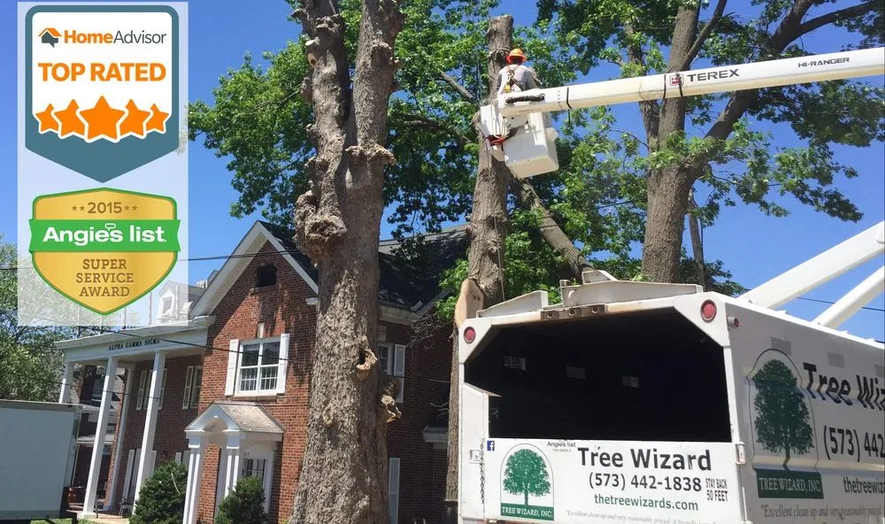 Reliable lawn mowing service for homes in Columbia, MO by Tree Wizard