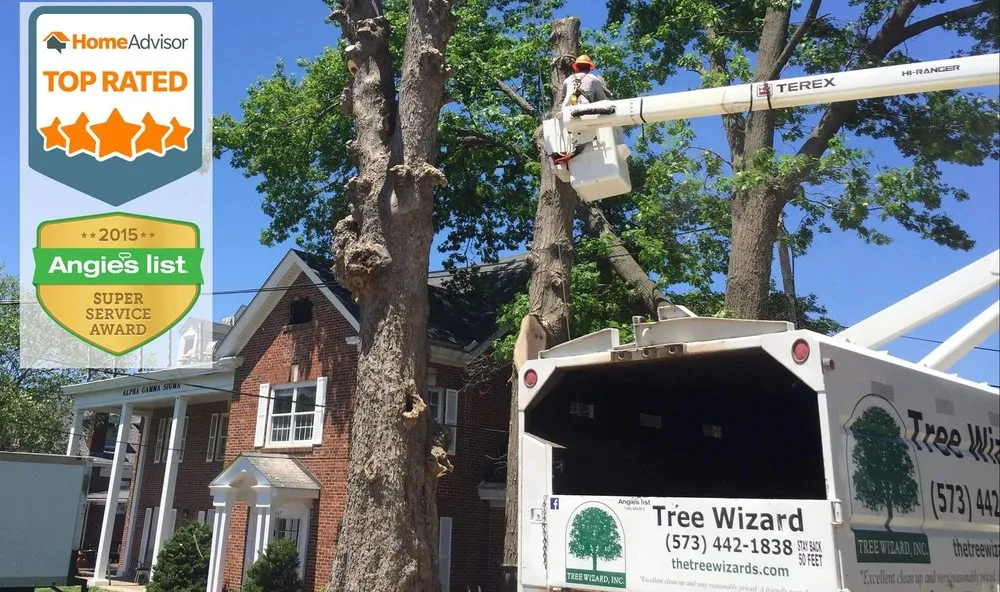 Reliable lawn care service near you in Columbia, MO by Tree Wizard