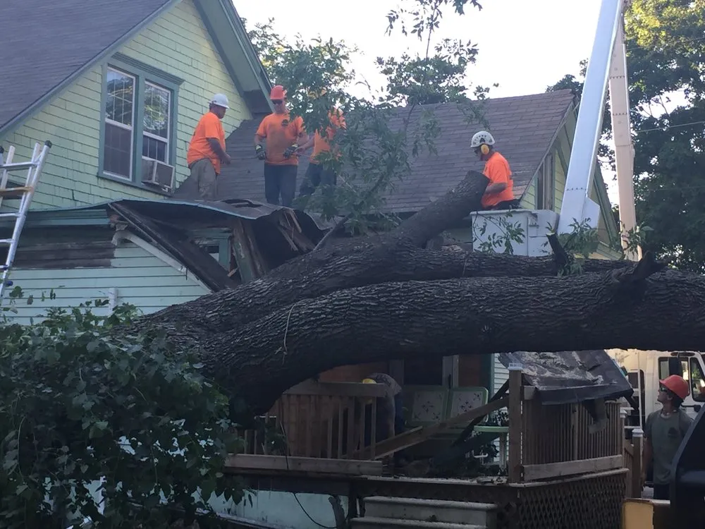 Affordable lawn mowing service for residential properties in Columbia, MO by Tree Wizard