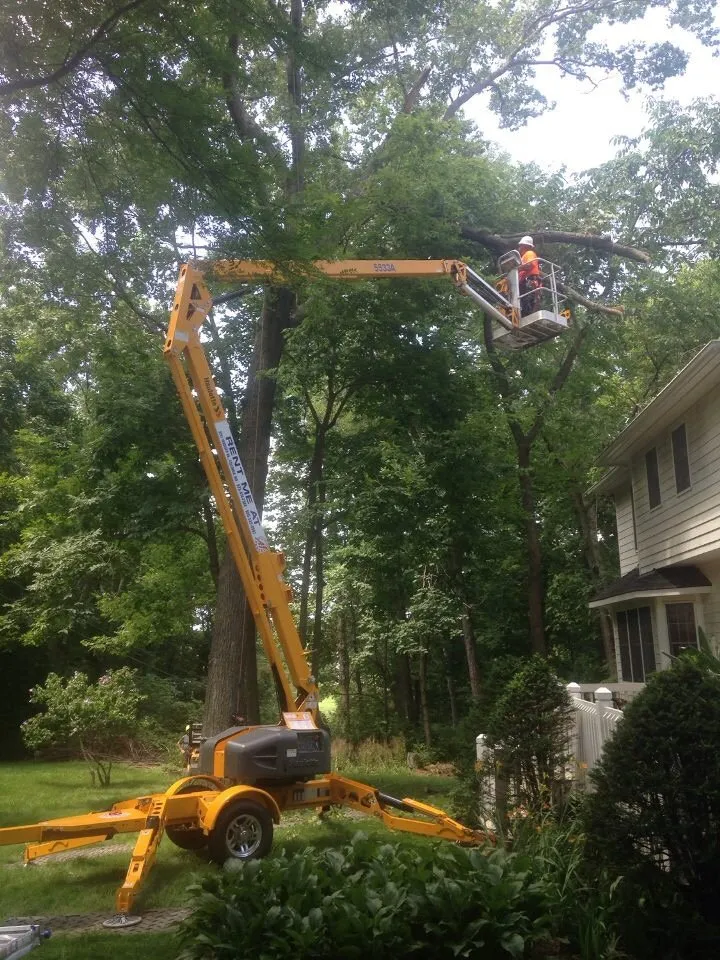 Affordable outdoor landscaping experts serving Columbia, MO - Tree Wizard