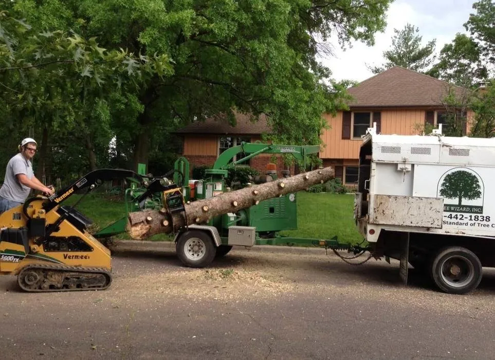 Local landscape installation in Columbia, MO by Tree Wizard