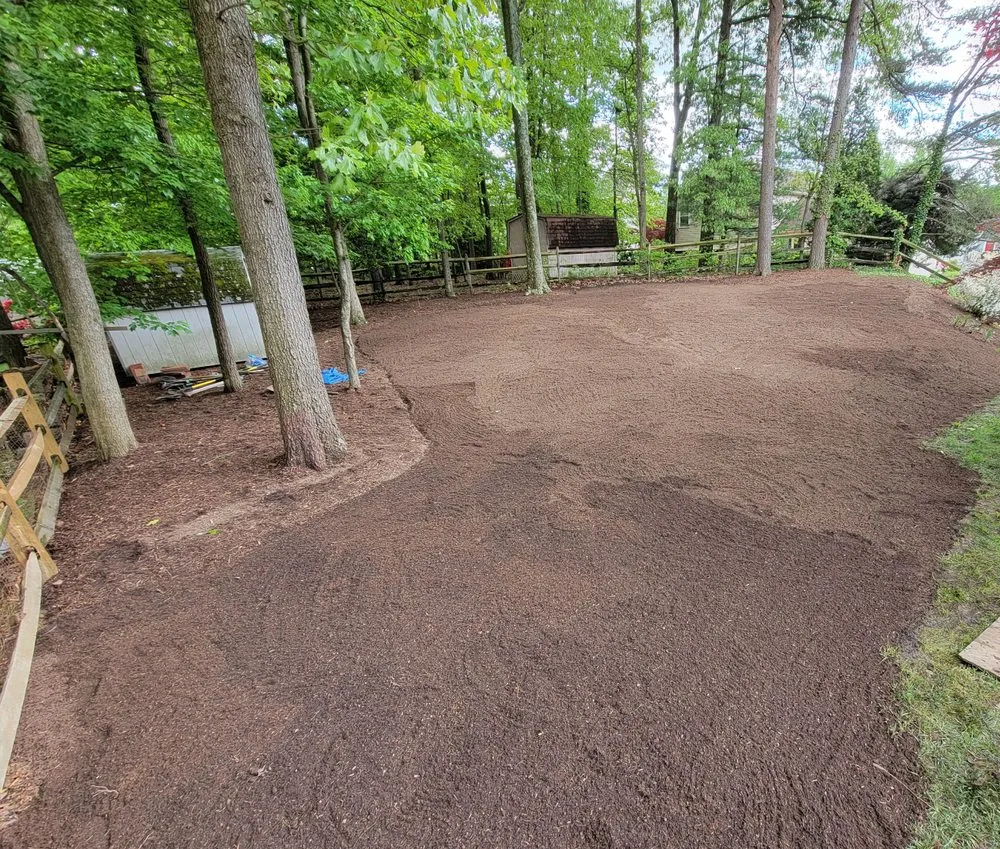 Affordable lawn mowing service for residential properties across Reston, VA - Tree Work