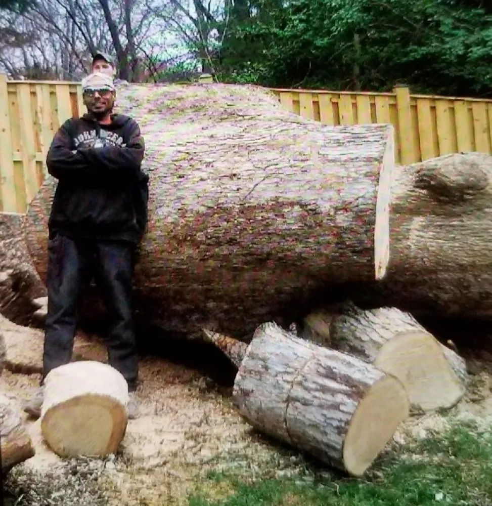 Professional lawn mowing service for year-round maintenance in Reston, VA by Tree Work