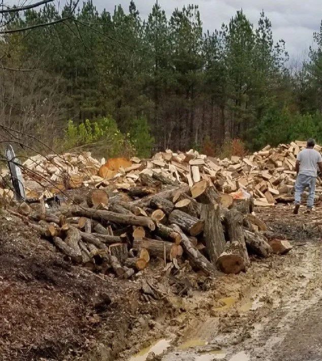 Trusted landscaping services in Reston, VA - Tree Work