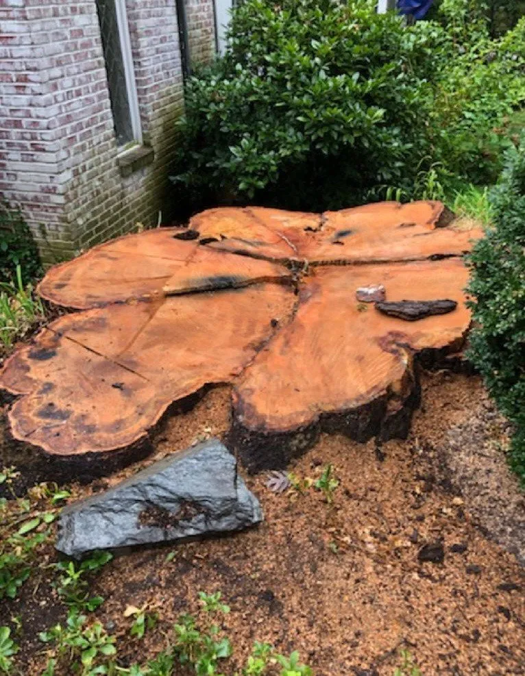 Reliable landscape design near you in Reston, VA by Tree Work