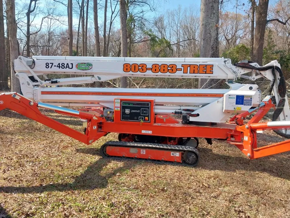 Expert yard maintenance experts serving Sumter, SC - Tree Works