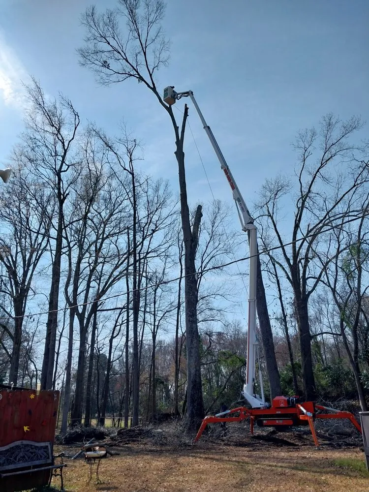 Local landscape design for year-round maintenance in Sumter, SC by Tree Works