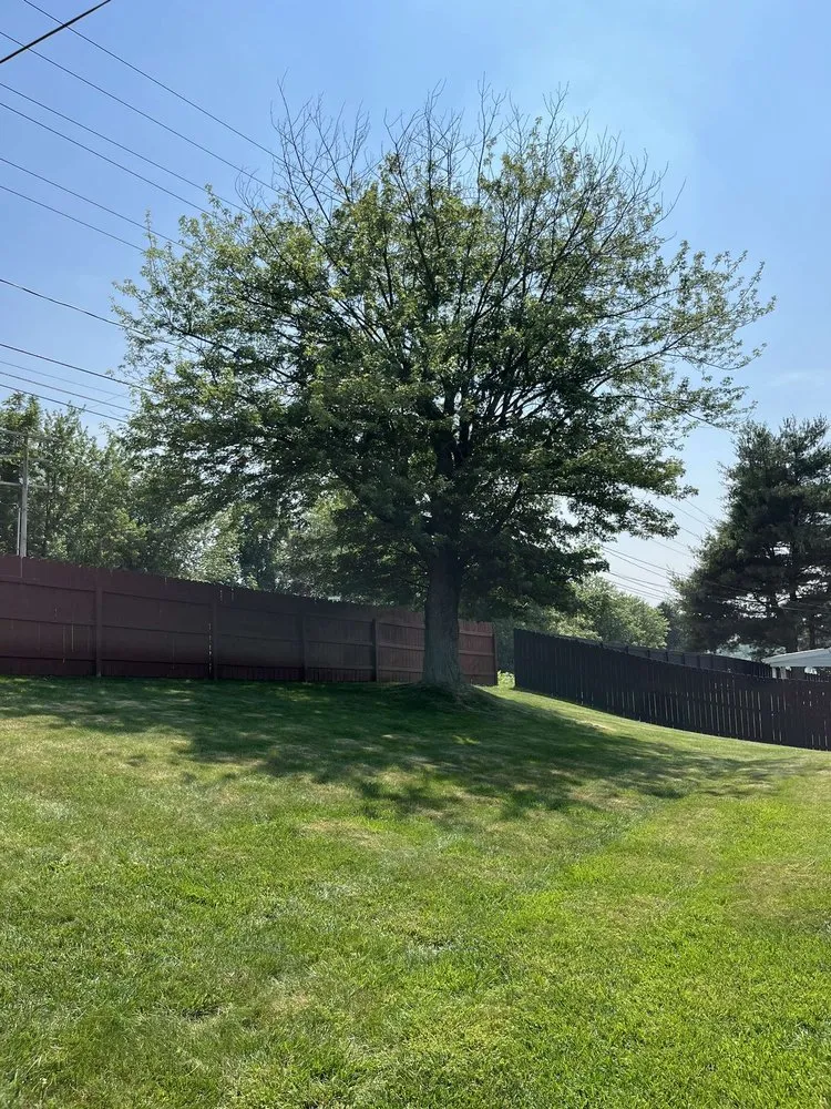 Top-rated lawn mowing service in Windsor, PA - Tree Works