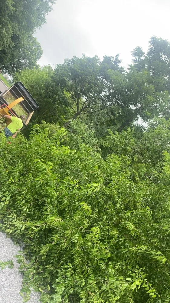 Trusted yard cleanup service in Windsor, PA by Tree Works