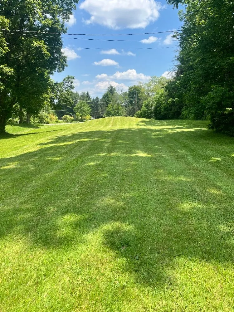Affordable residential landscaping in Mocanaqua, PA - Tree World & Landscaping
