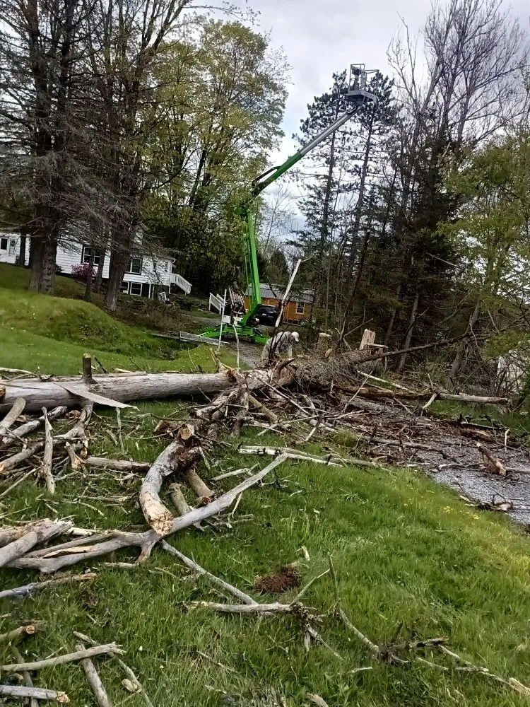 Trusted lawn mowing service with custom design across Mocanaqua, PA - Tree World & Landscaping