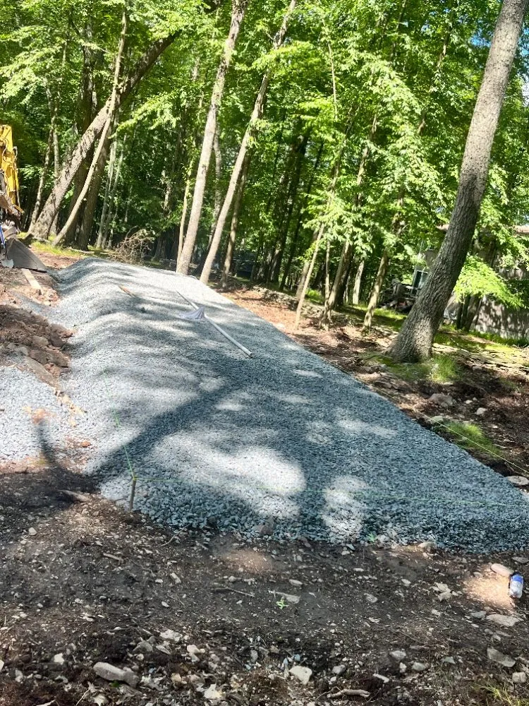Affordable yard cleanup service for year-round maintenance across Mocanaqua, PA - Tree World & Landscaping