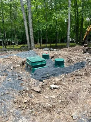 Tree World & Landscaping