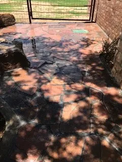 Tree World Nursery & Landscaping