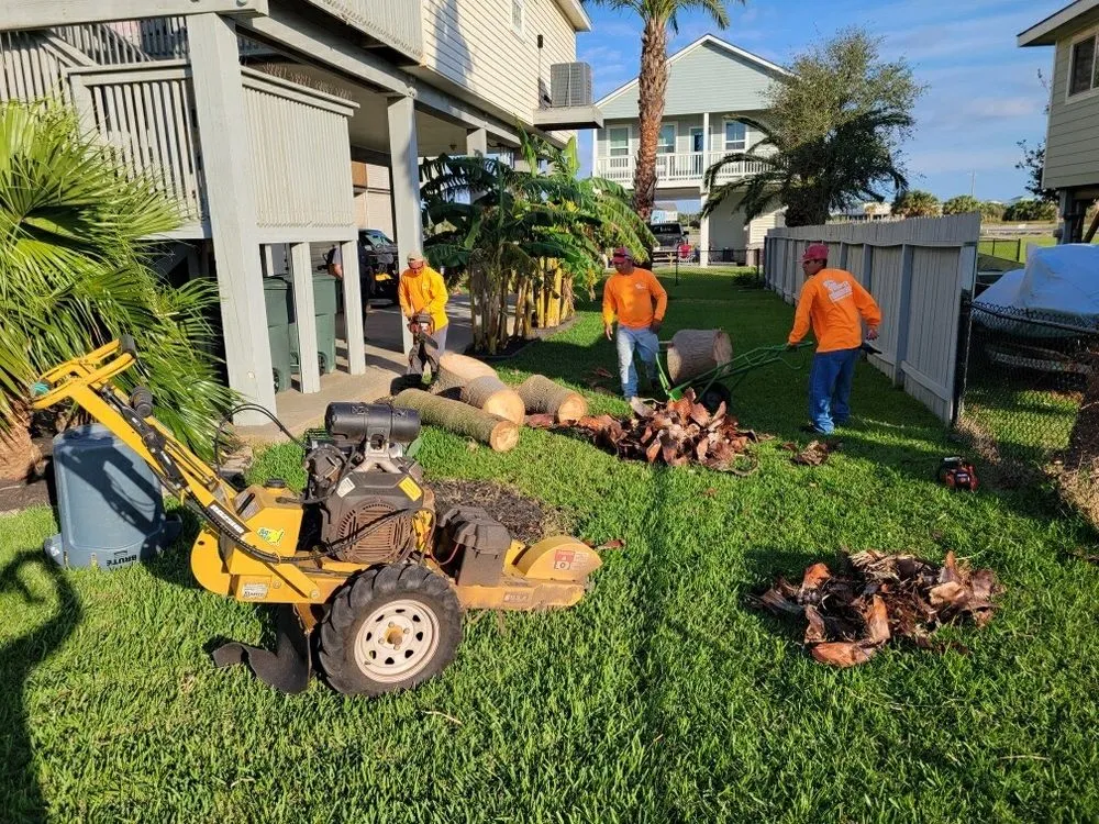 Expert lawn care service in Galveston, TX by Tree Worxx