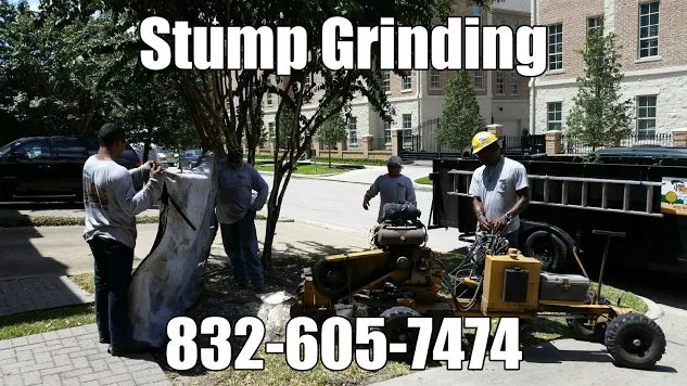 Professional landscape installation for outdoor upgrades in Galveston, TX by Tree Worxx