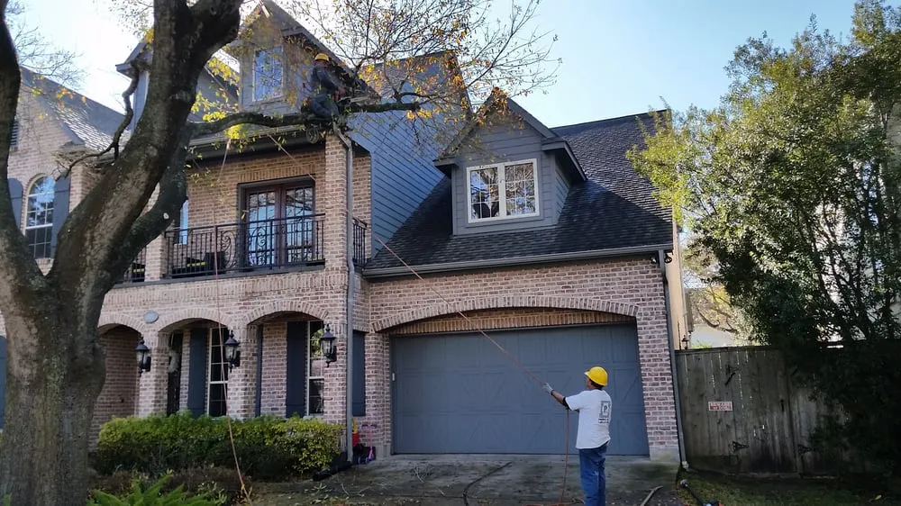 Affordable landscaping services in Galveston, TX - Tree Worxx