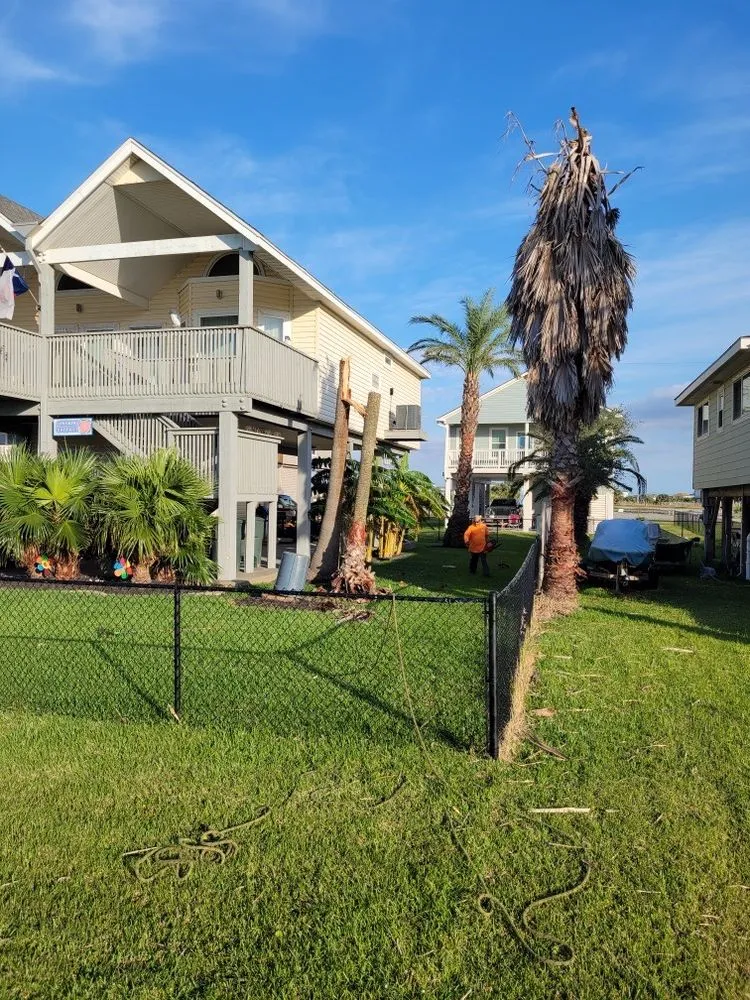 Professional yard cleanup service in Galveston, TX by Tree Worxx