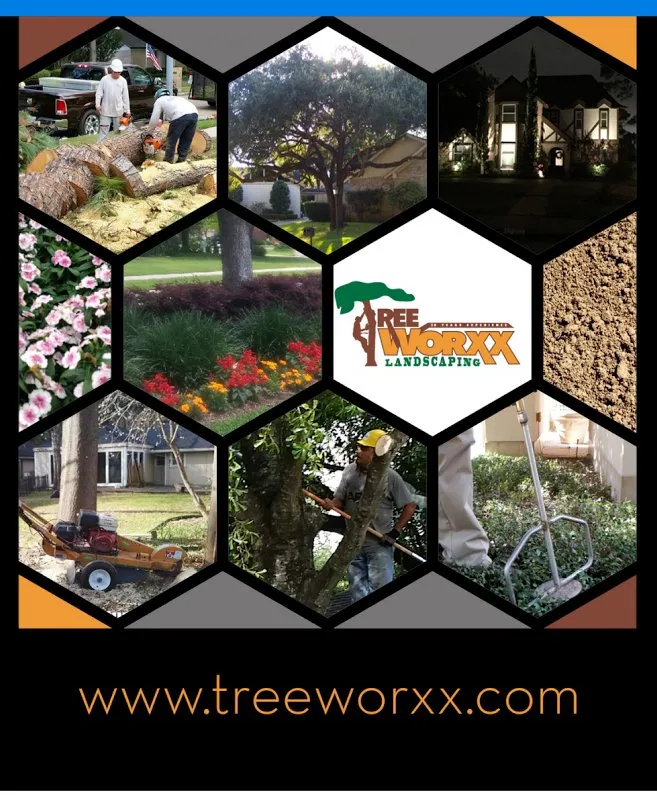 Expert yard cleanup service experts serving Galveston, TX - Tree Worxx