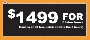 Affordable yard maintenance near you in Galveston, TX by Tree Worxx