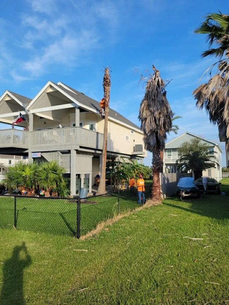 Expert lawn mowing service in Galveston, TX - Tree Worxx