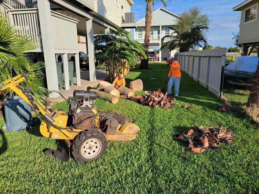 Custom landscape design experts serving Galveston, TX - Tree Worxx