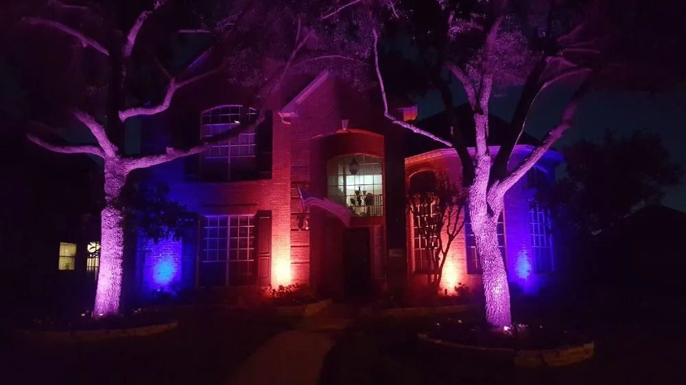 Reliable landscape design in Galveston, TX - Tree Worxx