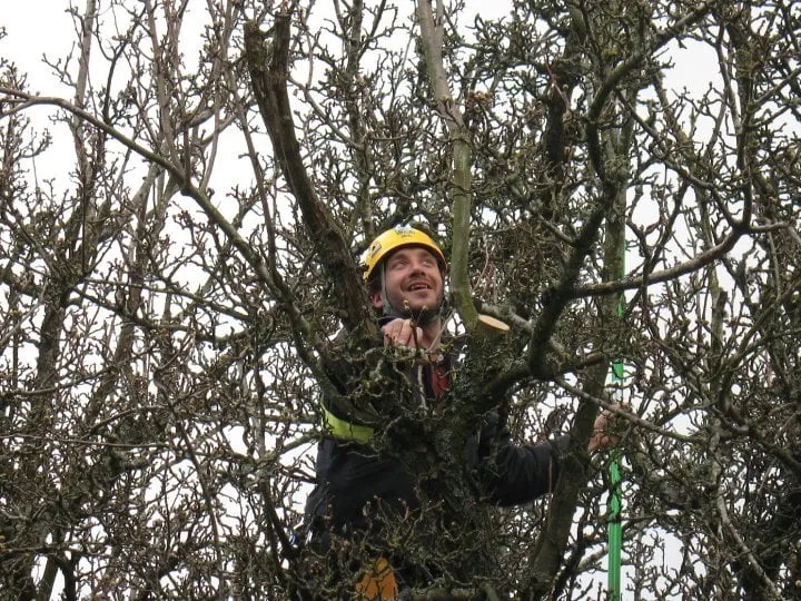 Trusted outdoor landscaping in Portland, OR by Tree Wrought LLC