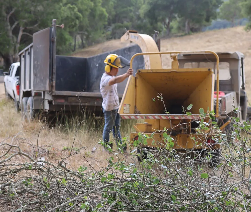 Professional landscape design in San Gregorio, CA - Tree41