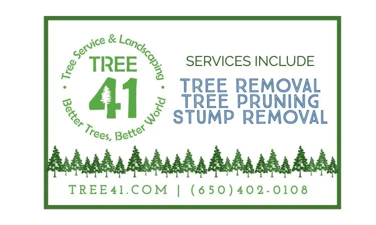 Reliable residential landscaping for homes across San Gregorio, CA - Tree41