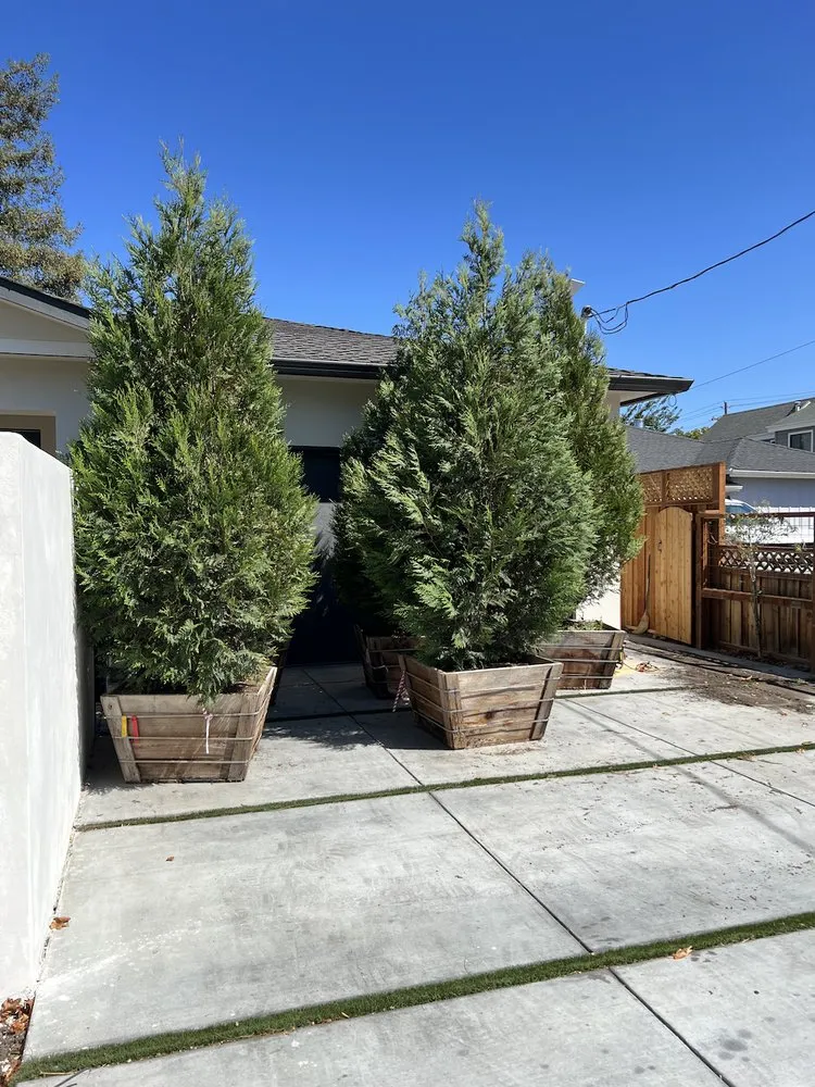 Affordable residential landscaping experts serving San Gregorio, CA - Tree41