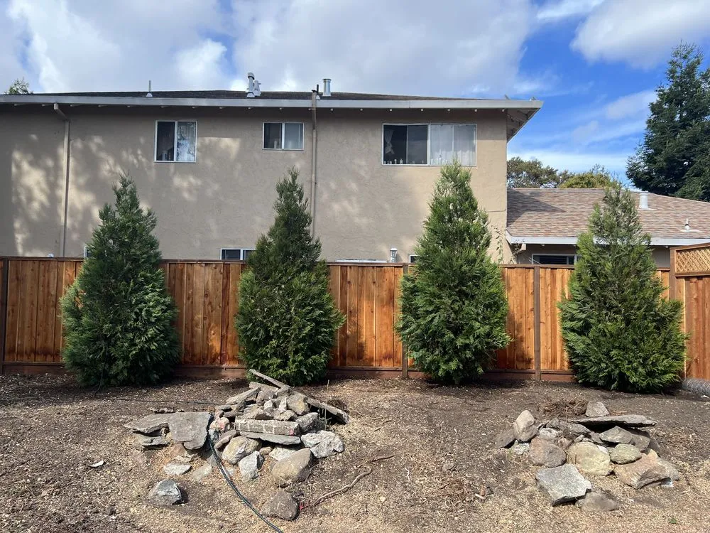 Affordable landscape installation in San Gregorio, CA by Tree41
