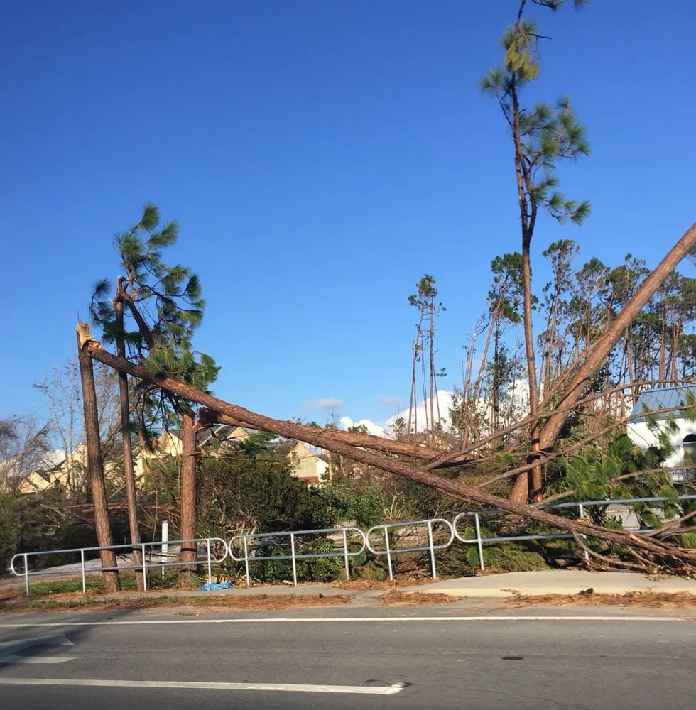 Local landscaping services in Santa Rosa Beach, FL by TreeAdvisor Outdoor Living