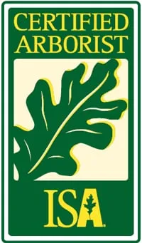 Expert yard cleanup service in Santa Rosa Beach, FL - TreeAdvisor Outdoor Living