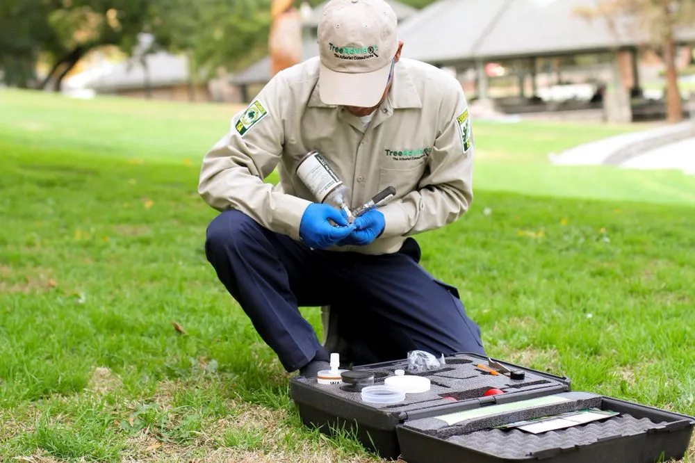 Professional yard maintenance experts serving Santa Rosa Beach, FL - TreeAdvisor Outdoor Living