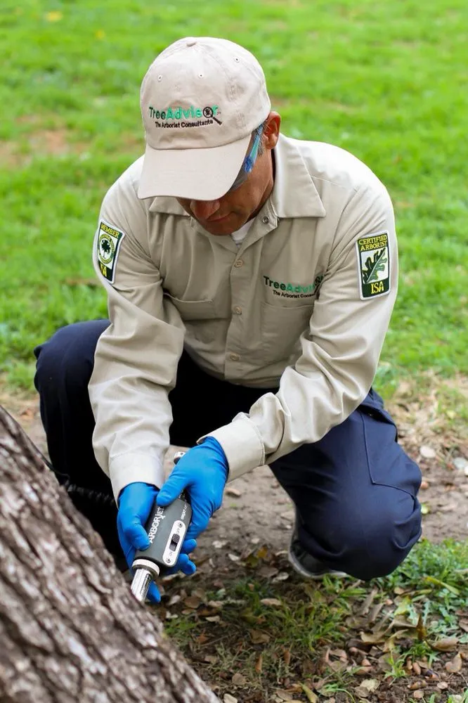 Affordable lawn care service in Santa Rosa Beach, FL - TreeAdvisor Outdoor Living