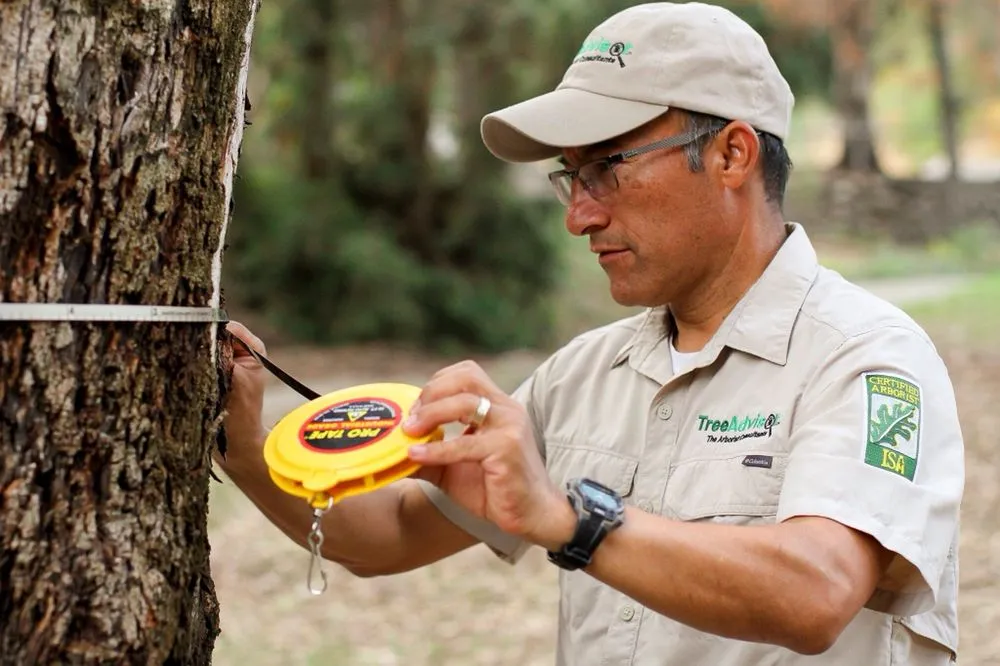 Trusted lawn care service in Santa Rosa Beach, FL - TreeAdvisor Outdoor Living