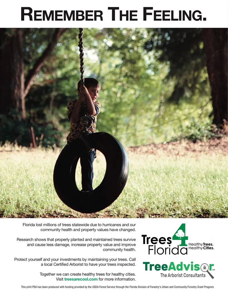Trusted landscape design in Santa Rosa Beach, FL by TreeAdvisor Outdoor Living