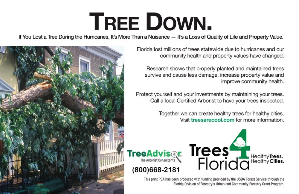Expert yard maintenance for outdoor upgrades in Santa Rosa Beach, FL by TreeAdvisor Outdoor Living