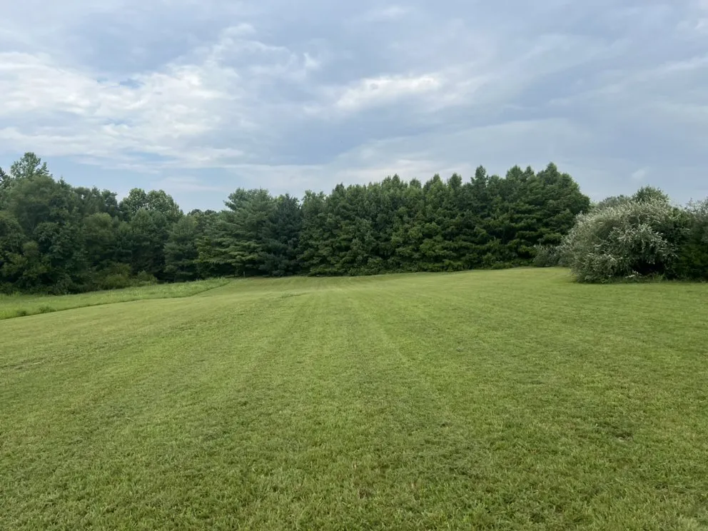 Affordable residential landscaping in Carbondale, IL by Treebark Mowing