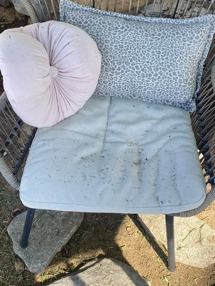 Affordable yard maintenance experts serving Spring Valley, CA - Treebeard Landscape