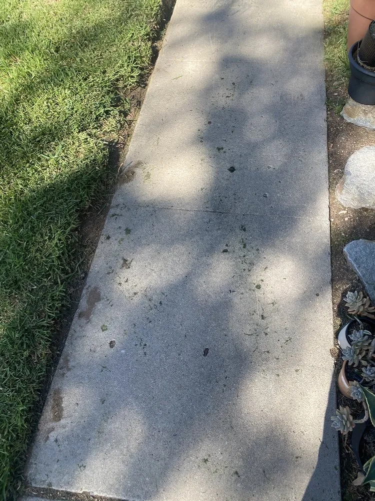 Expert landscape design near you across Spring Valley, CA - Treebeard Landscape