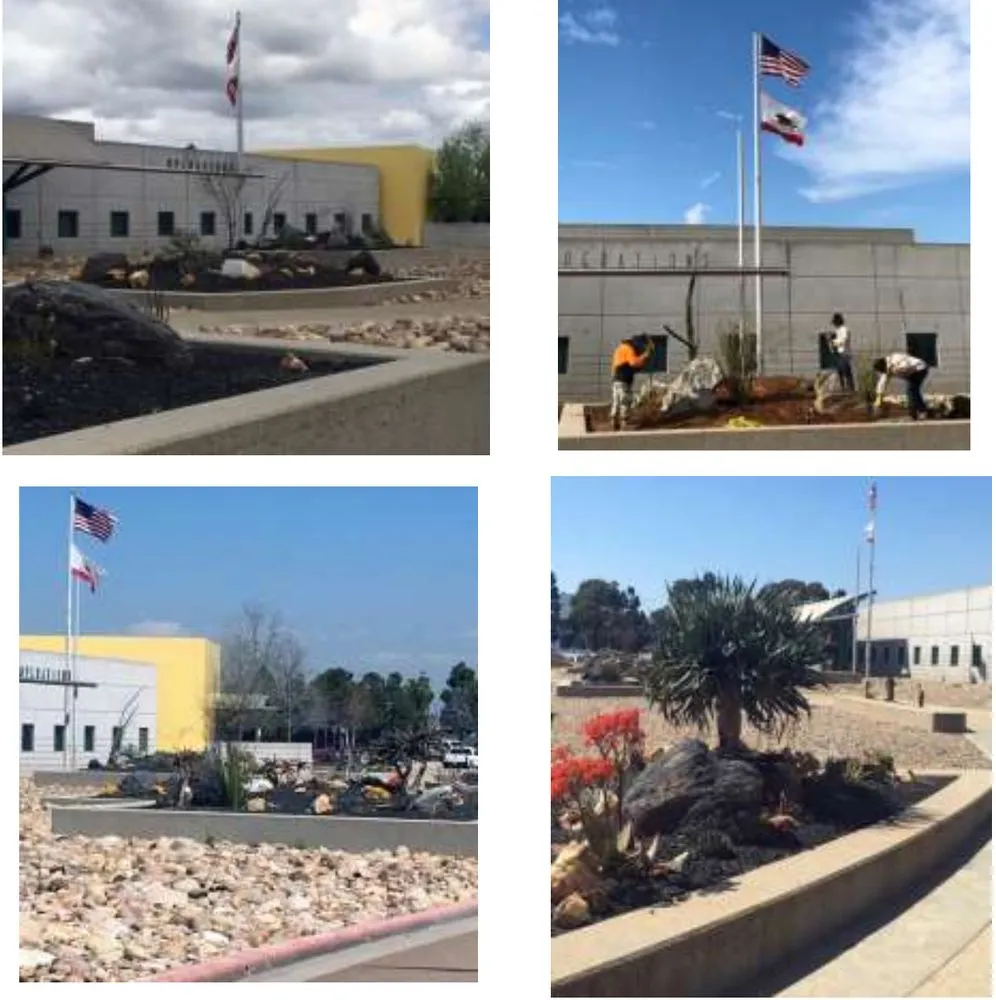 Top-rated lawn mowing service for residential properties across Spring Valley, CA - Treebeard Landscape