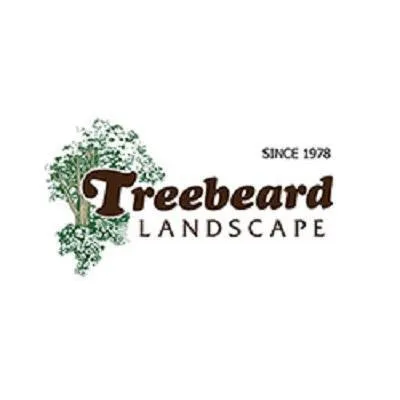 Trusted landscaping services in Spring Valley, CA by Treebeard Landscape
