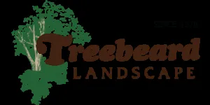 Professional yard cleanup service experts serving Spring Valley, CA - Treebeard Landscape