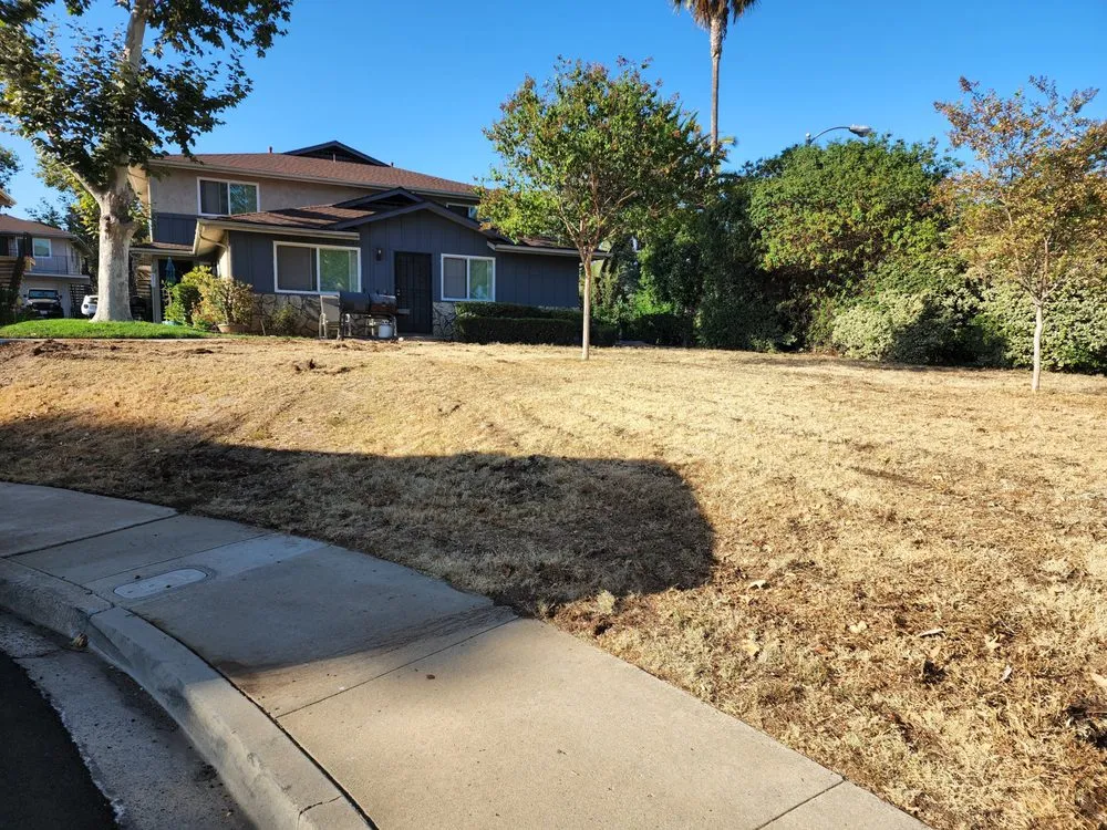Professional lawn care service in Spring Valley, CA by Treebeard Landscape