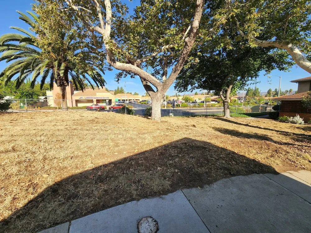 Custom lawn mowing service with custom design across Spring Valley, CA - Treebeard Landscape