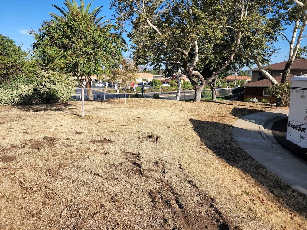 Custom outdoor landscaping in Spring Valley, CA - Treebeard Landscape