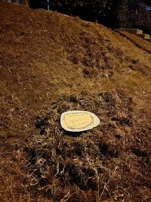 Treebeard Landscape Logo